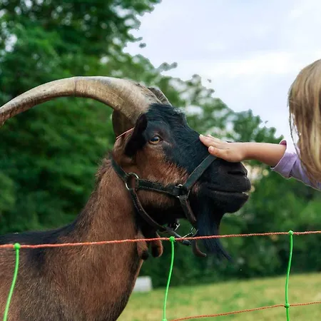 Le Moulin * Martres-Tolosane