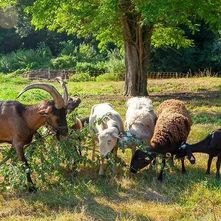 Le Moulin * Martres-Tolosane