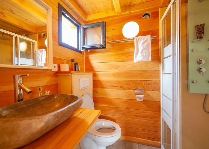 Отель Le Moulin Martres-Tolosane