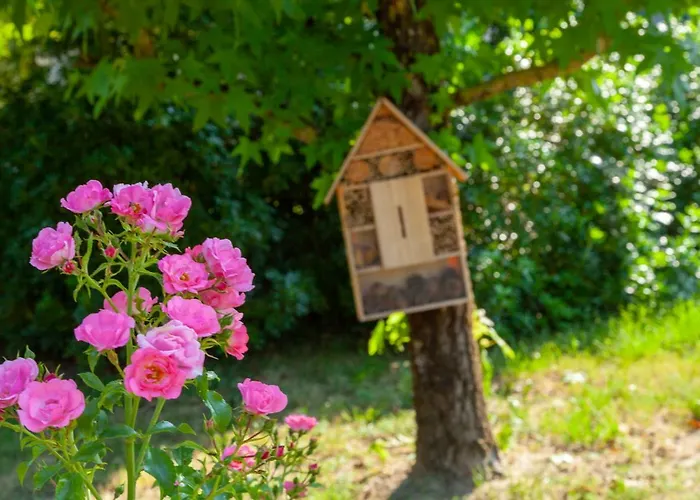 Le Moulin Отель *